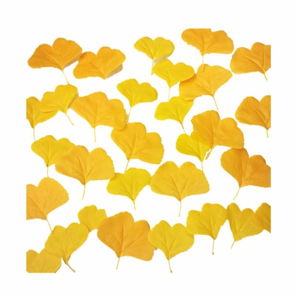 100 Stück künstliche Ginkgo bl – Desk Setup Photo Bewertung und Preis